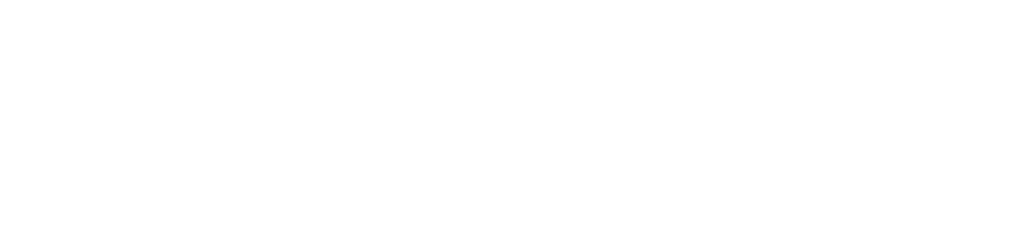 Google Cloud Partner Logo